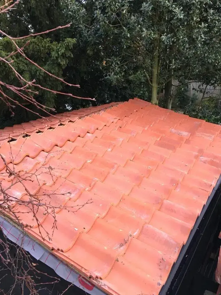 Wide view of a red pantile roof on a Norfolk house in Norwich