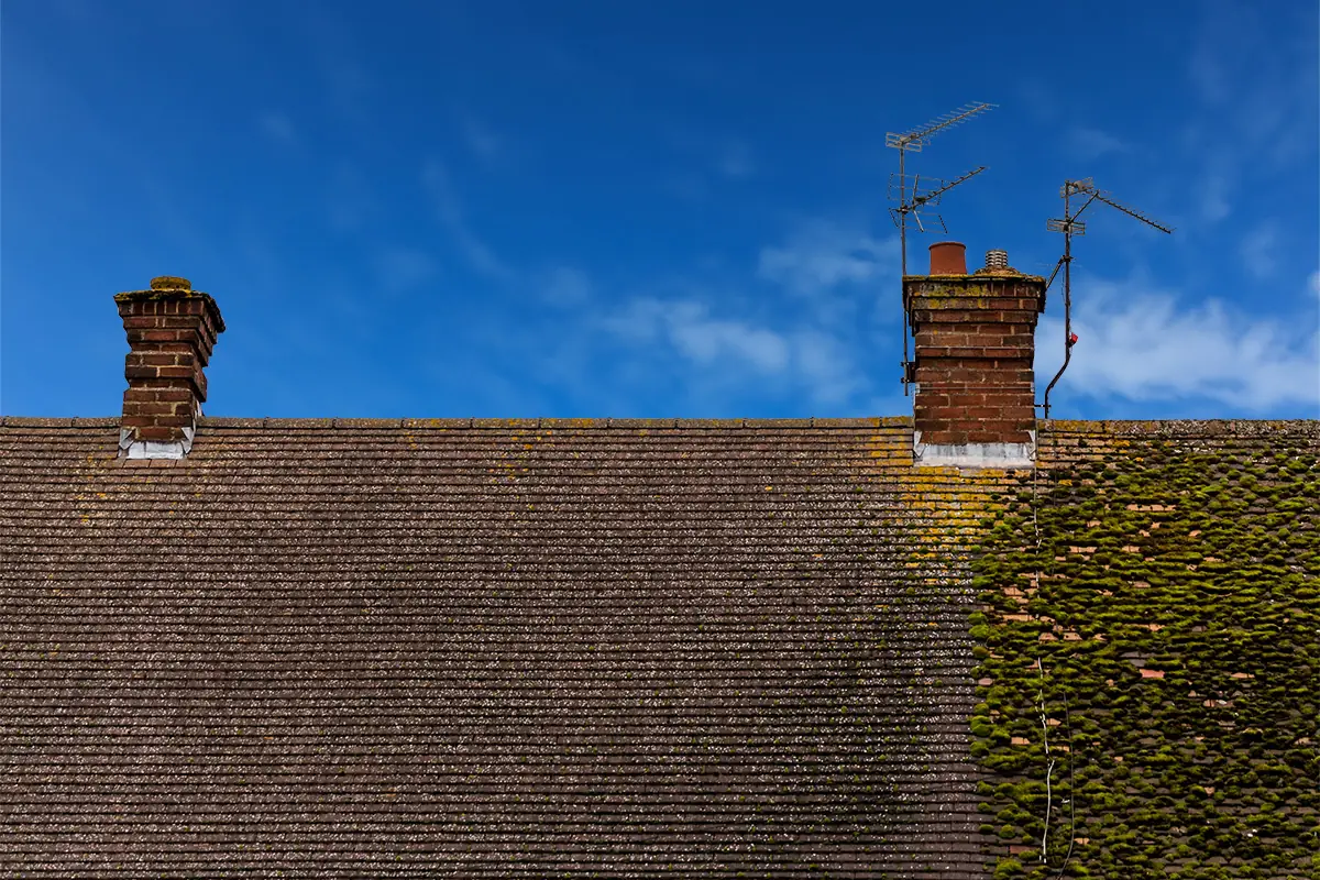 Roof Coating in Norwich by Premier Home Improvements