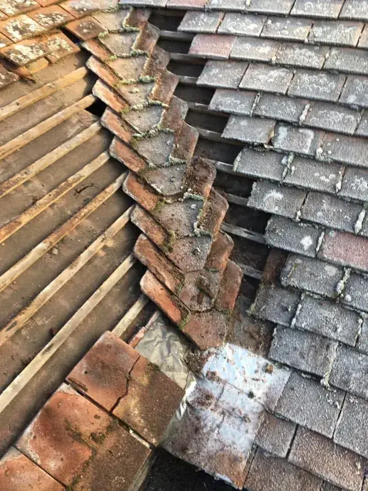 Tiles lifted to expose the felt and battens during a roof repair in Norwich