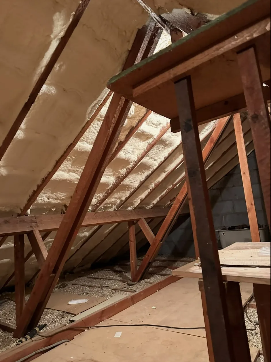 Spray foam sprayed over the rafters and the underside of a loft roof